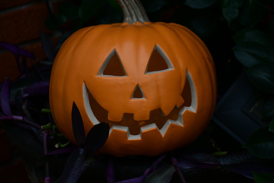 Tradiciones Ventas 11 Tradiciones Ventas -Tradiciones Ventas pexels photo 14822935